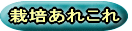 �͔|���ꂱ�� 